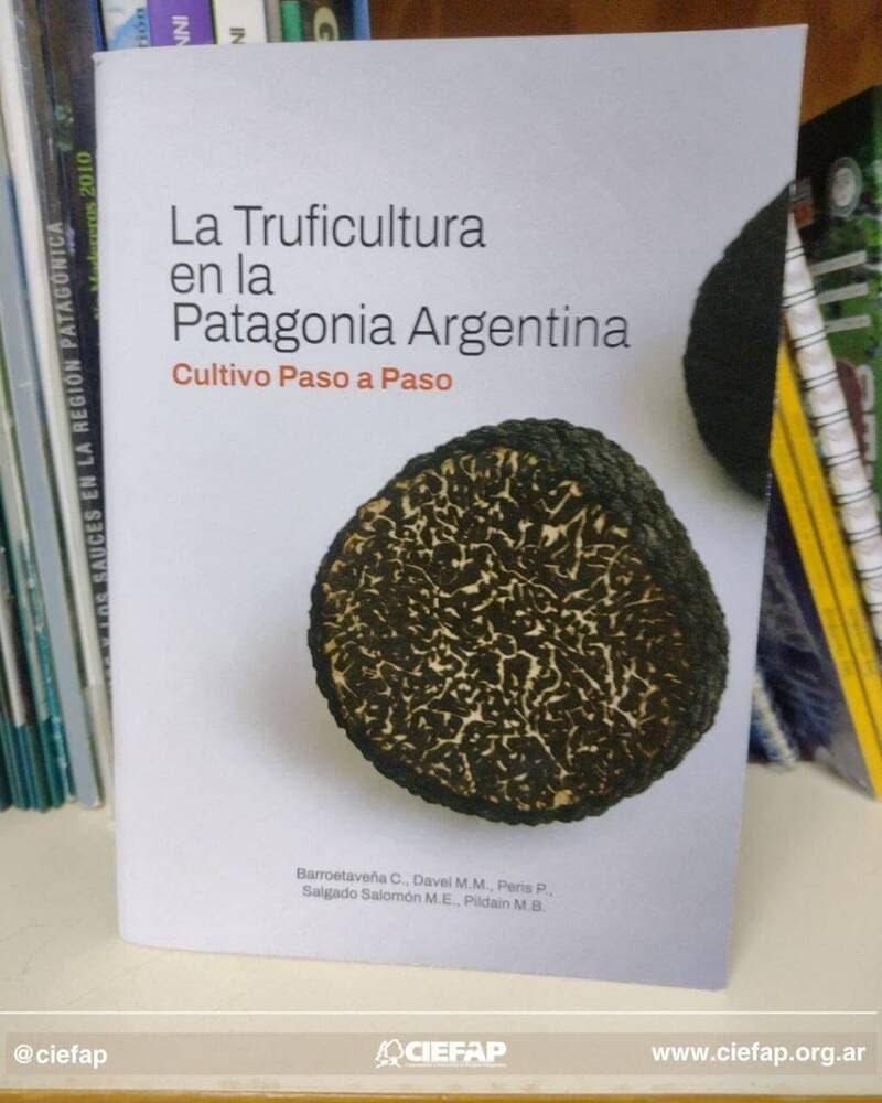 Portada del manual Cocinar con Hongos Silvestres, Manual N° 20 del CIEFAP, con descripción nutricional y recetas de hongos patagónicos