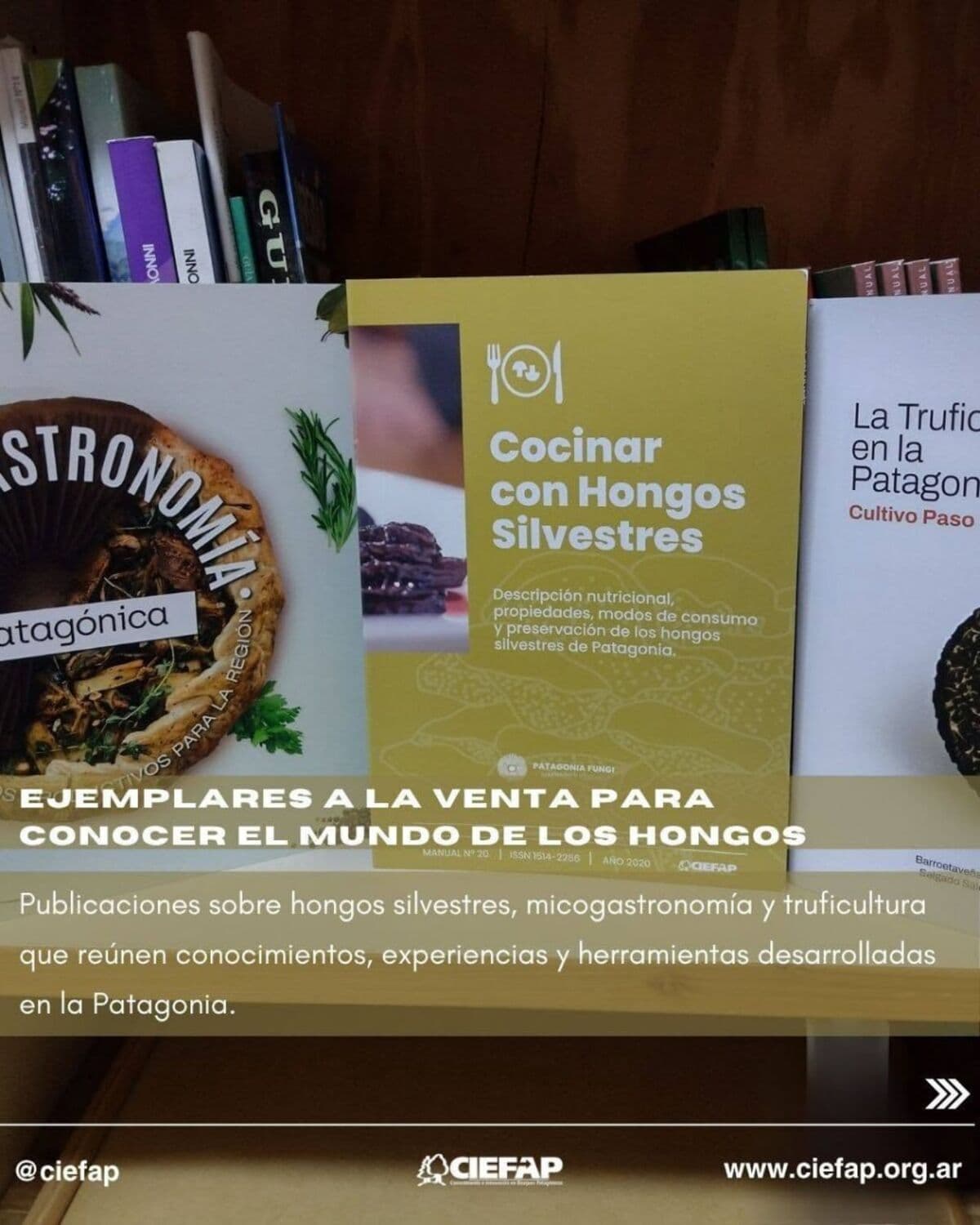 CIEFAP lanza tres libros sobre hongos patagónicos: recetas, micogastronomía y cultivo de trufas