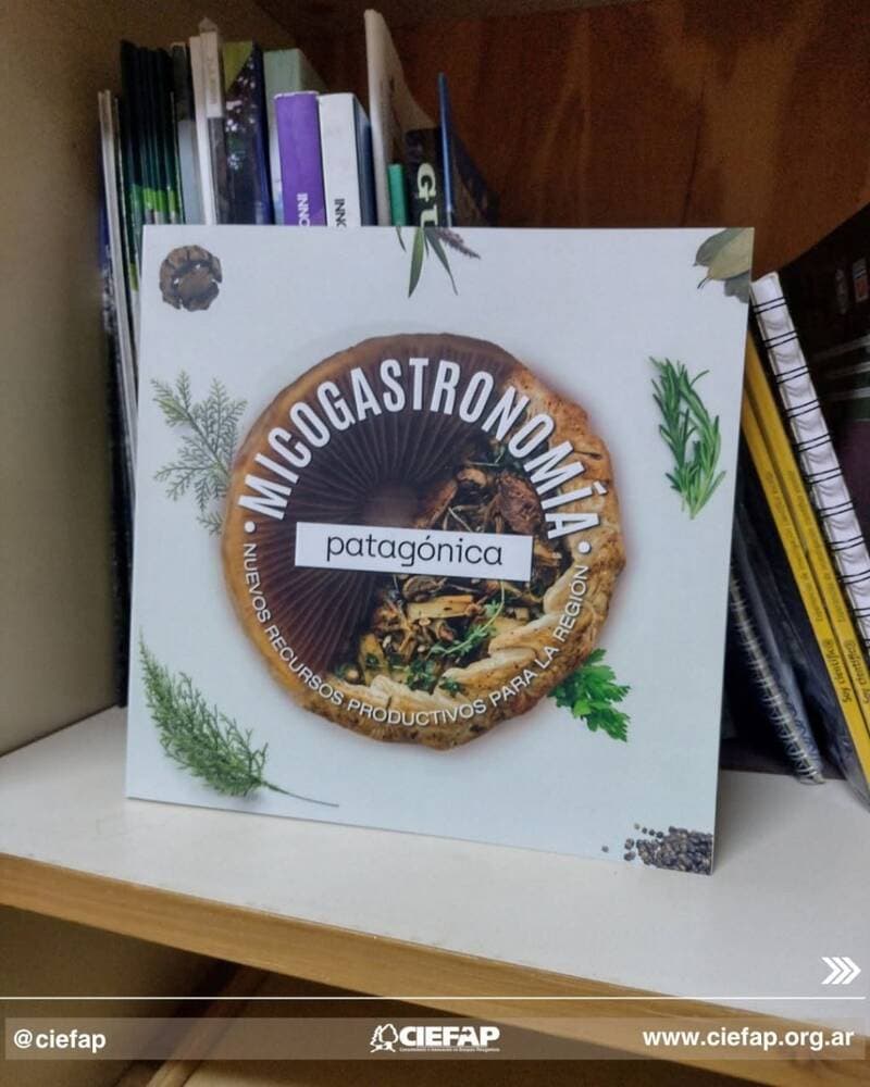 Portada del libro Micogastronomía Patagónica, Nuevos recursos productivos para la región, publicación del CIEFAP
