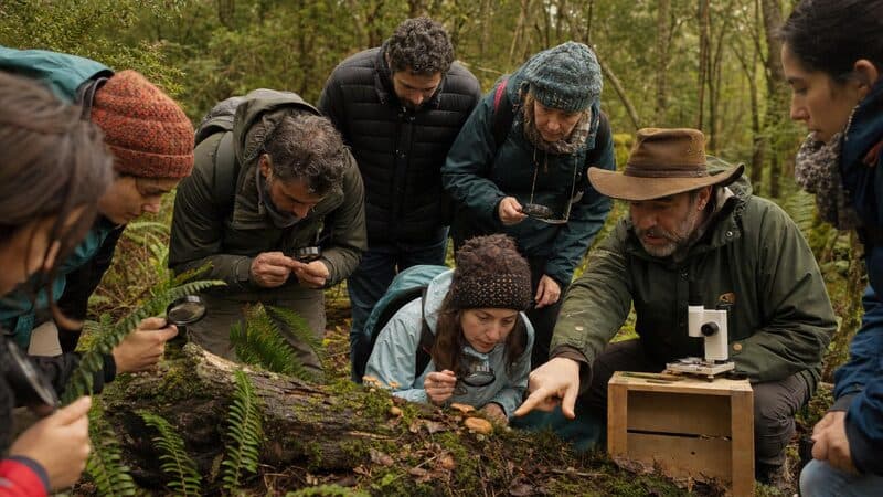 Claromecó Fungi 2026: ciencia, cultivo y gastronomía en un solo encuentro