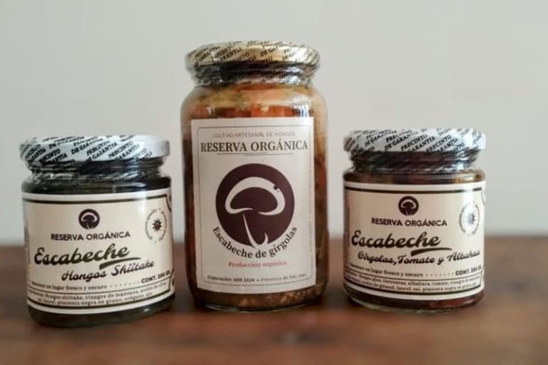 Cooperativa en San Juan cultiva gírgolas, melena de león y reishi en ambientes controlados