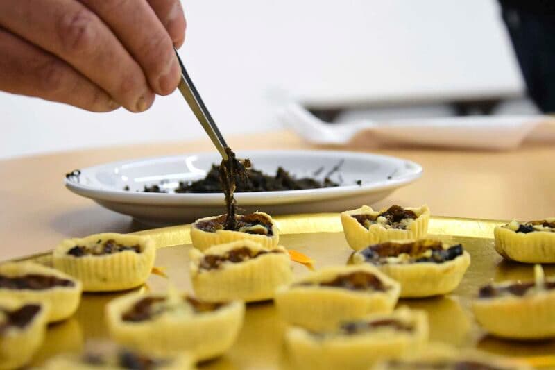 Producción de trufas en Choele Choel, Río Negro. Una de las dos plantaciones productivas de la provincia, junto con Mallín Ahogado.