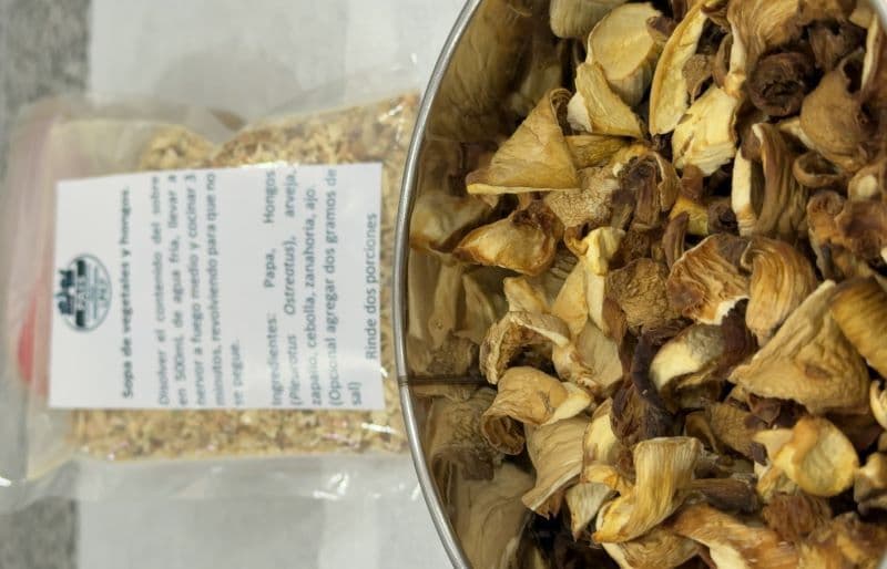 Sopa crema de hongos gírgolas deshidratada — Planta PAIS UNLP