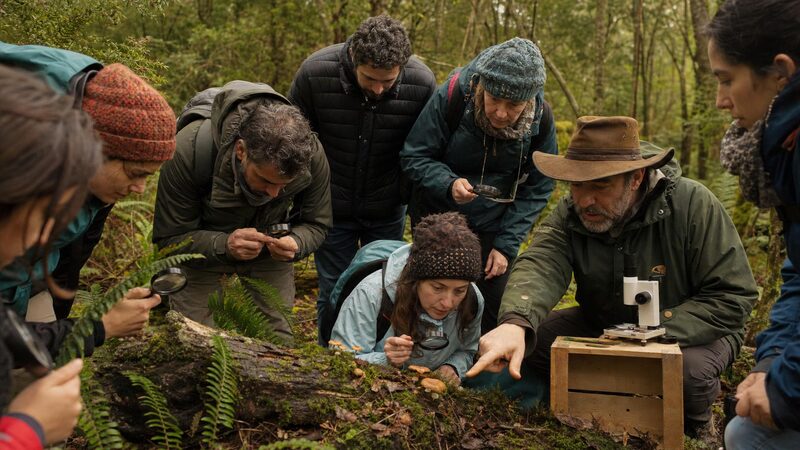 Claromecó Fungi 2026: ciencia, cultivo y gastronomía en un solo encuentro