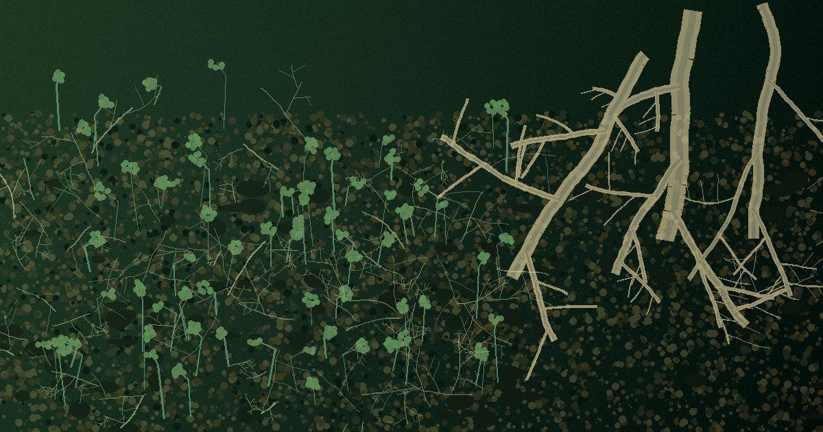 Ilustración conceptual del micelio fúngico y las raíces de una planta en el suelo