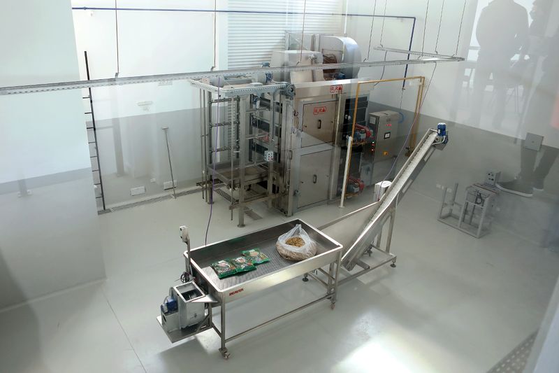 Interior de la Planta PAIS — sector de producción